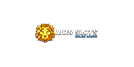 lion slots casino