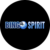Bingo Spirit Casino US